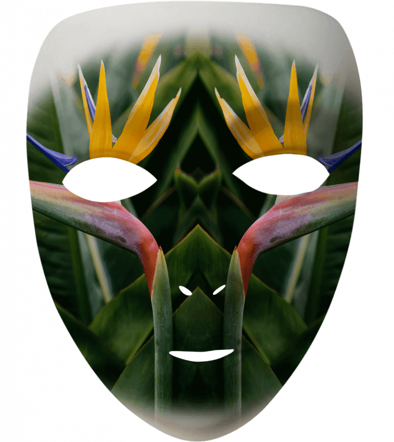 Madeira Mask Filter - Bird of Paradise Flower