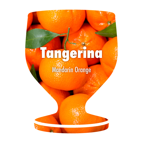 What the Poncha Filter - Mandarin Orange